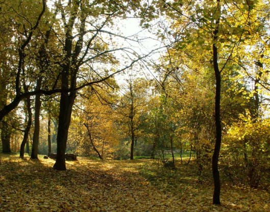 Freuen Sie sich auf ein Herbst-Wochenende in Wietzow!