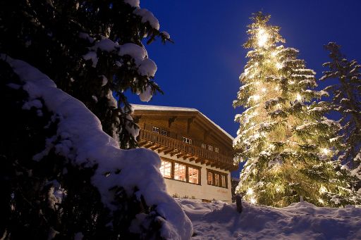 Weihnachtsbaum