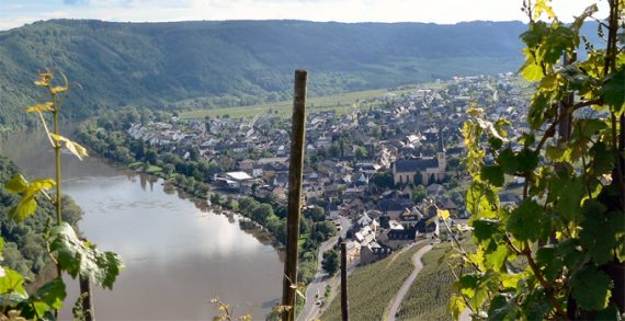 Reisequiz: Mittelmosel-Kondelwald