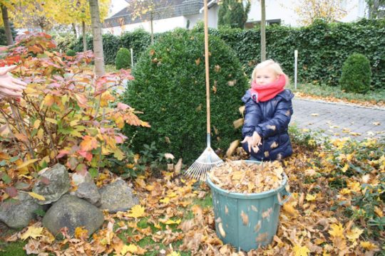 Werfen Sie ihr Laub nicht weg!