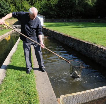 A LA TRUITE ARGENTEE FISCHZUCHT