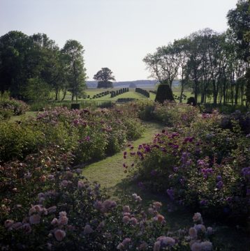 Der Garten von Marihn