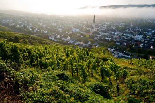 Mit BRF1 ins wunderschöne Ahrtal