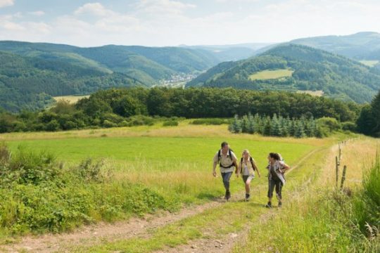 Wandern am Ahrsteig