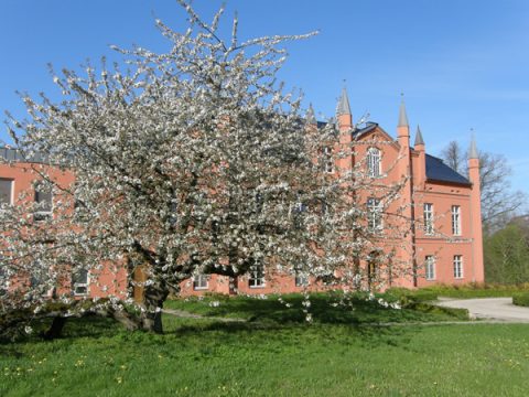 Das Gutshaus Wietzow in der Urlaubsregion Vorpommersche Flusslandschaft