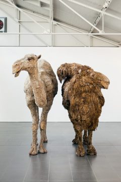 Nancy Graves: Mongolian Bactrian, Kenya Dromedary (1969) - Foto: Carl Brunn