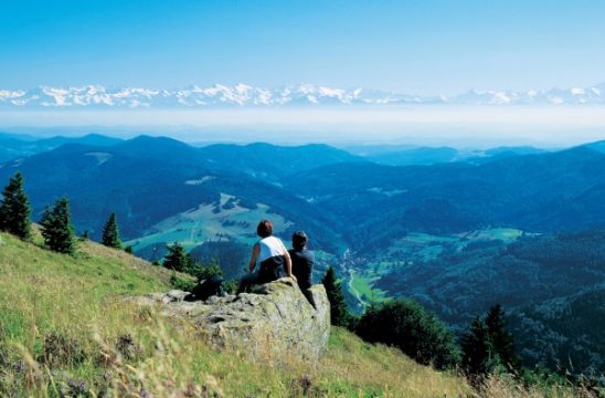 Der Schwarzwald - Alpenblick