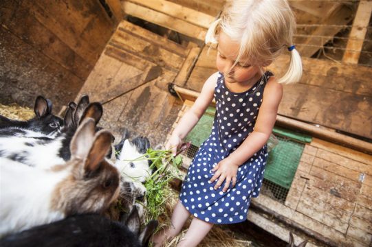 Urlaub am Bauernhof im Salzburger Land