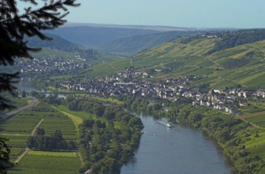 Die Wein- und Urlaubsregion Mittelmosel-Kondelwald