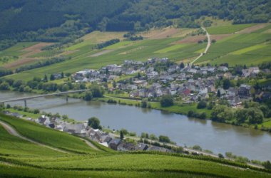 Die Wein- und Urlaubsregion Mittelmosel-Kondelwald