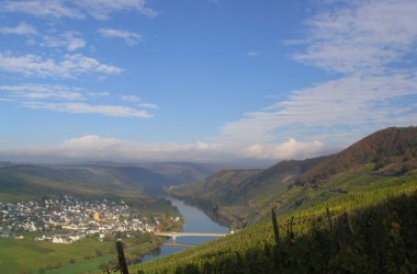 Blick auf Trittenheim an der Mosel