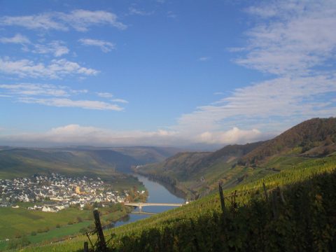 Blick auf Trittenheim an der Mosel