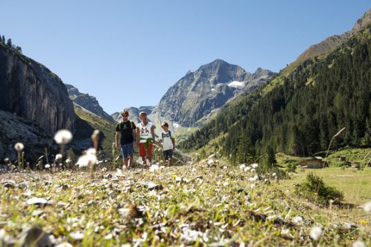 Das Stubaital im Sommer
