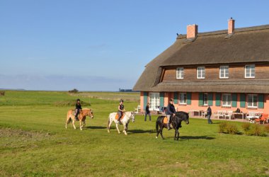 Rügen-Ferienhof in Ummanz