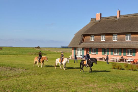 Rügen-Ferienhof in Ummanz