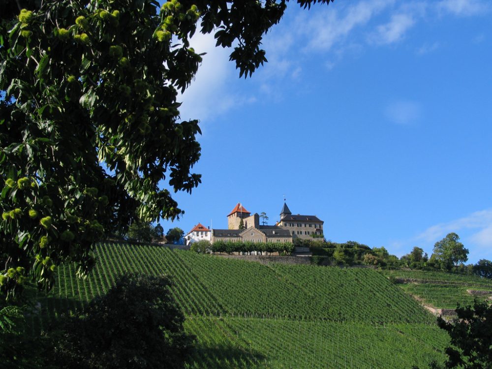 Murgtal - Weingut Schloss Eberstein