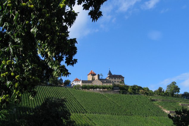 Murgtal - Weingut Schloss Eberstein