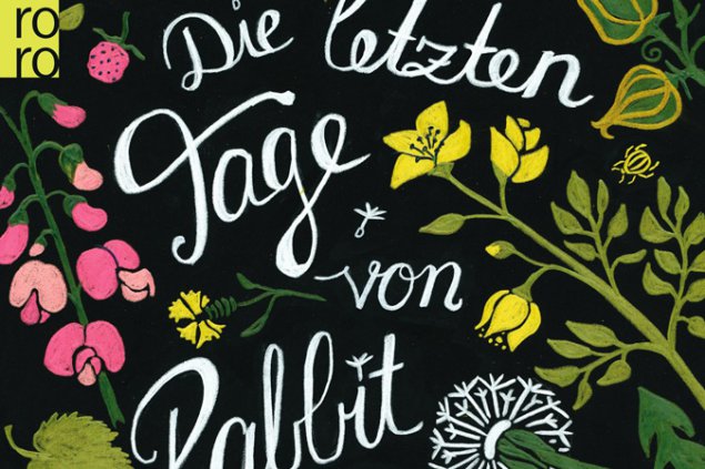 Anna McPartlin: Die letzten Tage von Rabbit Hayes