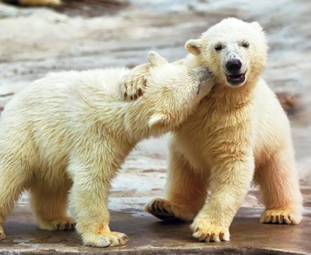 Tag des Kusses 6. Juli