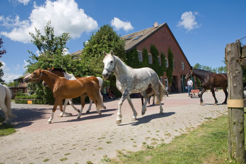 Traberhof Hooksiel