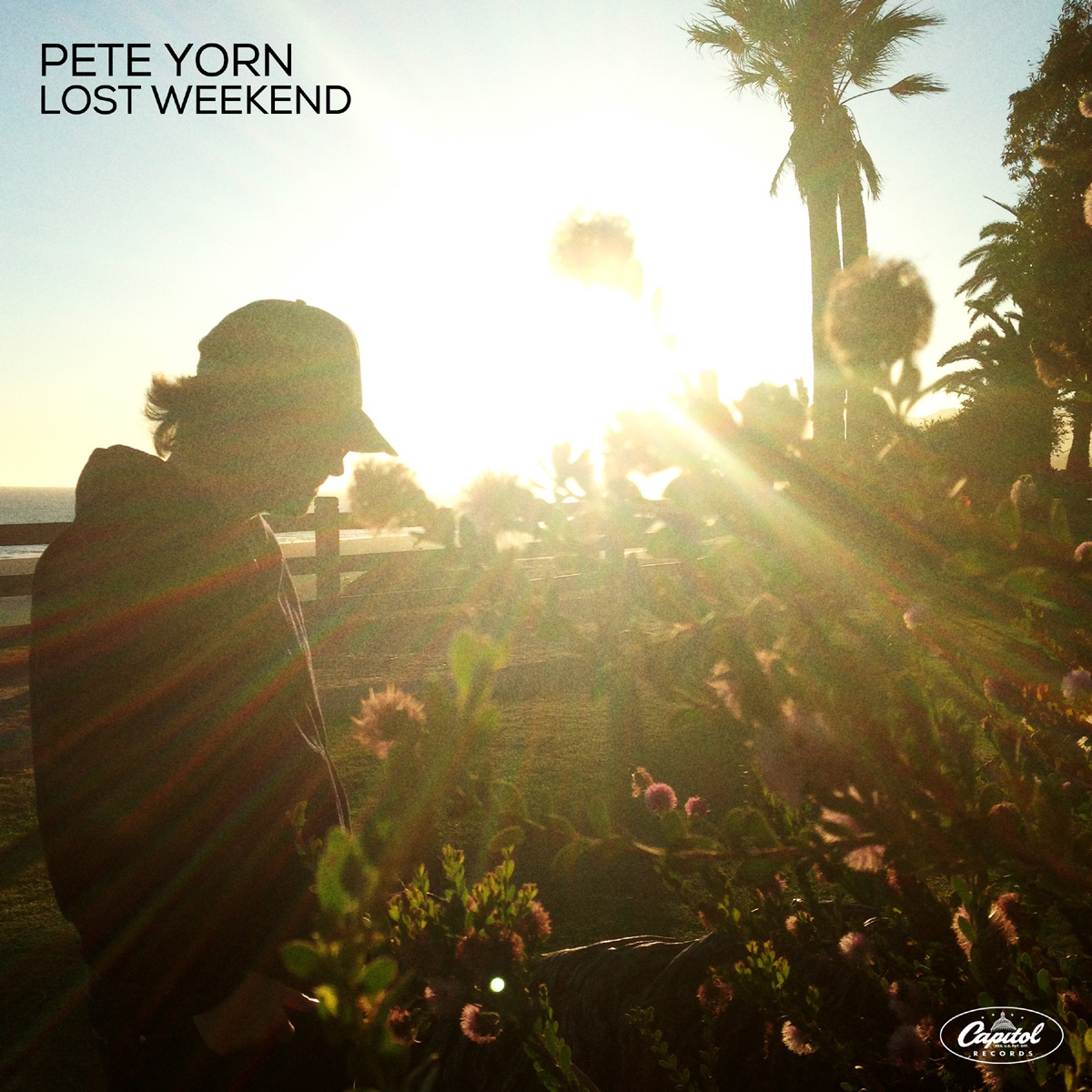 VitaminB: Pete Yorn - Lost Weekend