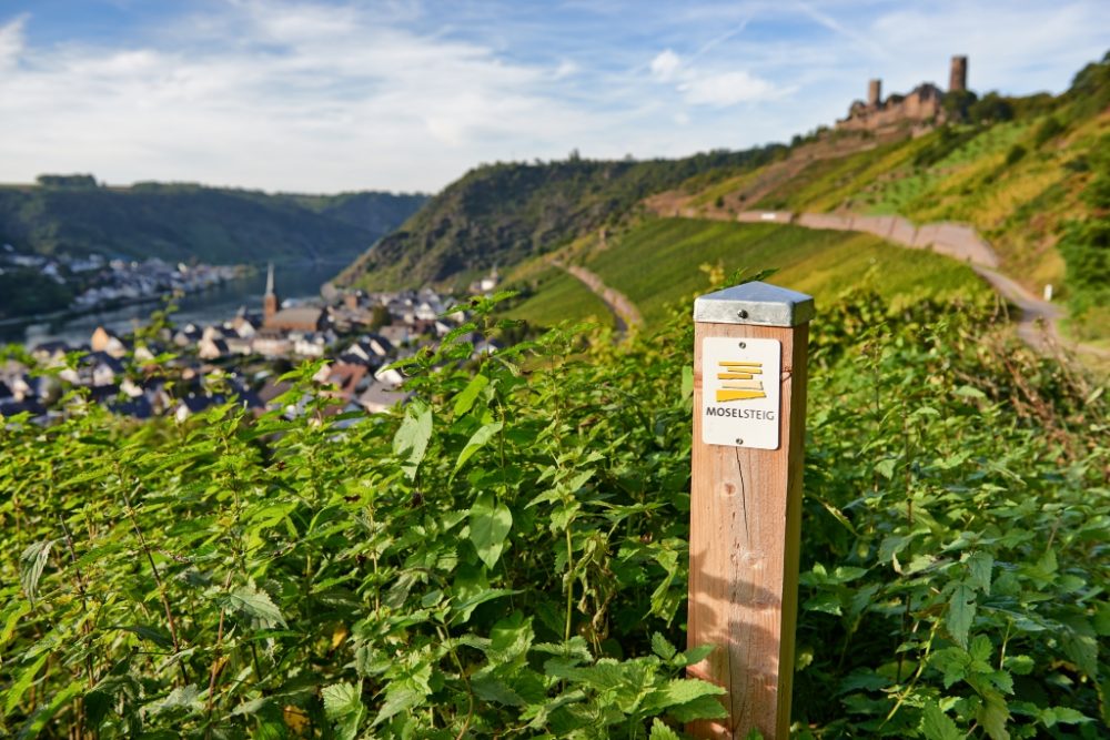 Moselland mit dem Moselsteig und Burg Thurant