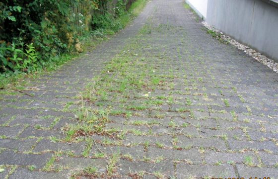 Kein Einsatz chemischer Unkrautbekämpfungsmittel
