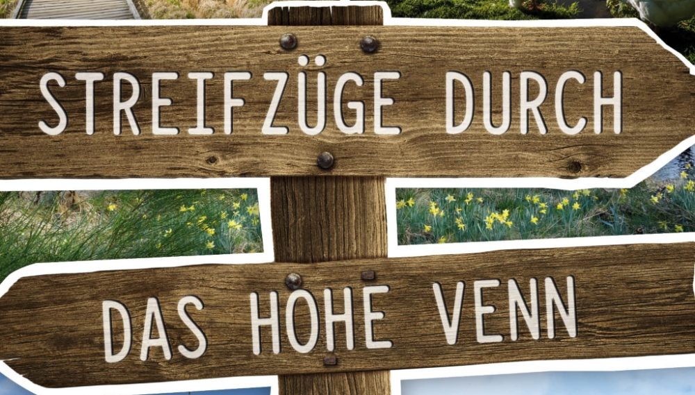 Streifzüge durch das Hohe Venn