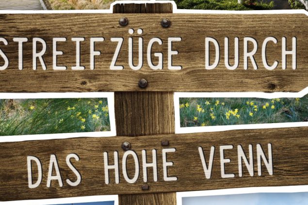 Streifzüge durch das Hohe Venn