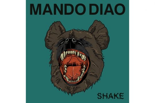 Mando Diao, BMG Right Management