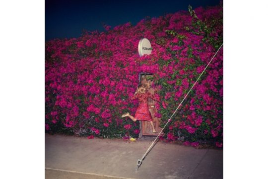 Album der Woche: "Pleasure" von Feist