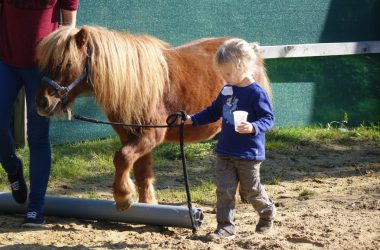 Auf dem Eternahof gibt es Tuchfühlung mit Ponys für die Kleinen.