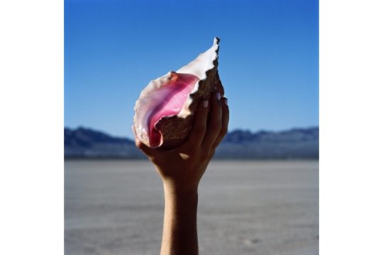 Album der Woche: "Wonderful Wonderful" von The Killers