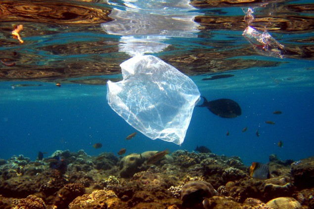 Plastikmüll (Foto: Mike Nelson, AFP)