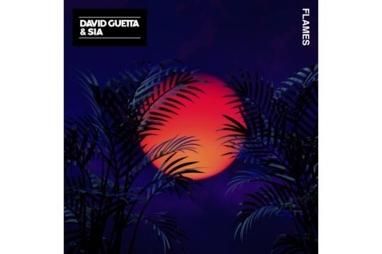 David Guetta & Sia, Warner
