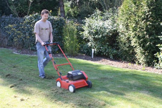 Rasen Vertikutieren im Frühjahr