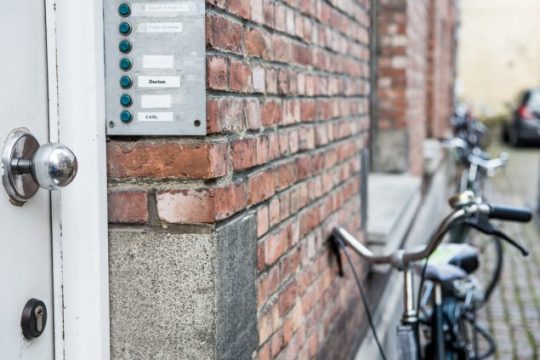 Kot (Foto: Siska Gremmelprez/Belga)