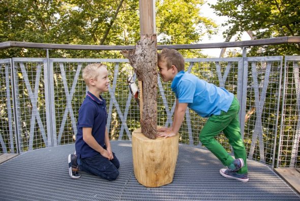 Spielstation Baumkronenweg (Foto Edersee Touristic GmbH)