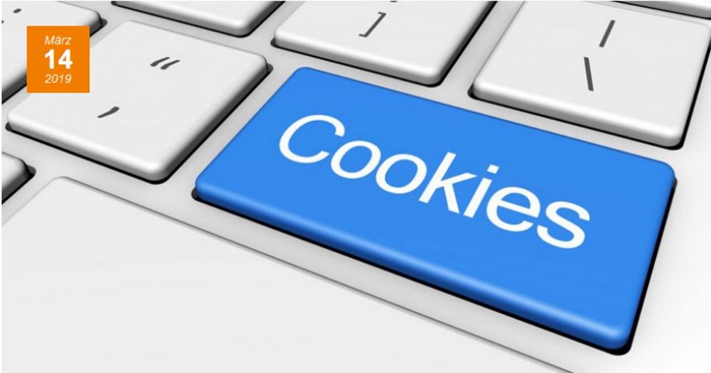 Welche Gefahren gehen von Cookies aus? Screenshot VSZ