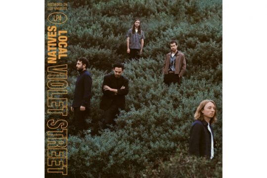 Local Natives; The Cranberries