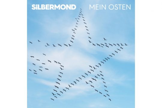 Silbermond (Bild: Verschwende Deine Zeit)
