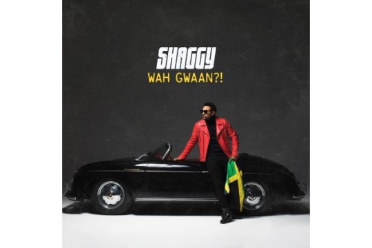 Shaggy (Bild: Surco Rec.)