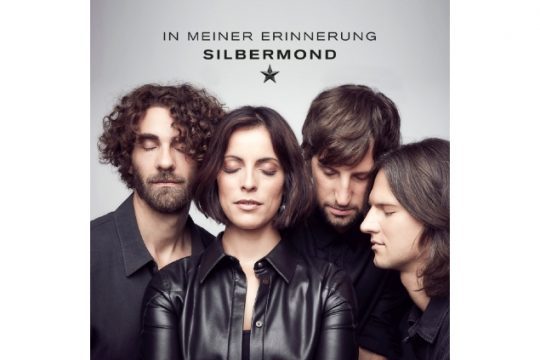 Silbermond (Bild: Verschwende Deine Zeit)