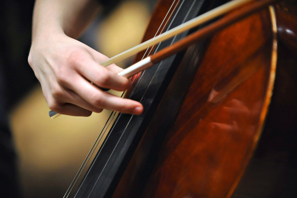 Cello (Illustrationsbild: Stephen Chernin/EPA)