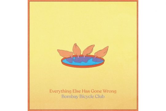 Bombay Bicycle Club (Bild: Caroline)