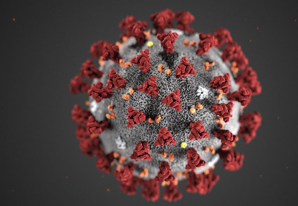 Coronavirus (Foto: Lizabeth Menzies, AFP)