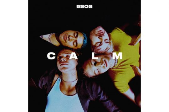 5 Seconds Of Summer (Bild: Interscope)