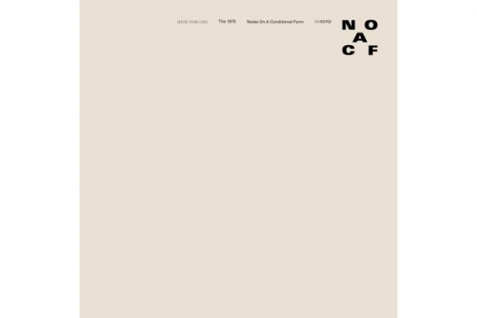 The 1975 (Bild: Polydor)