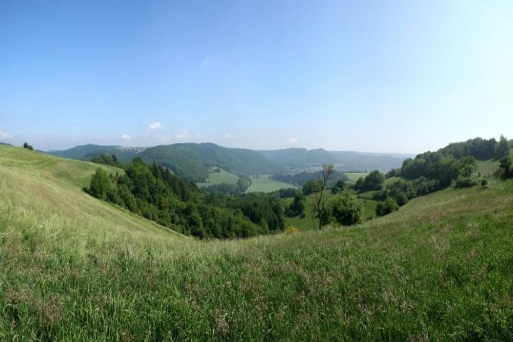 Wiedtalpanorama