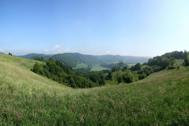 Wiedtalpanorama